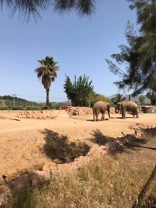 1-day trip to Attica Zoological Park