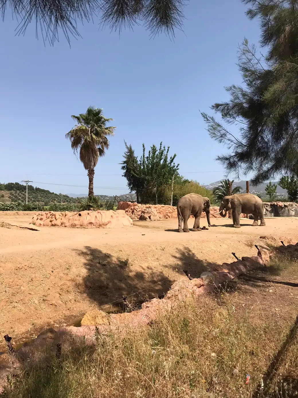 1-day trip to Attica Zoological Park