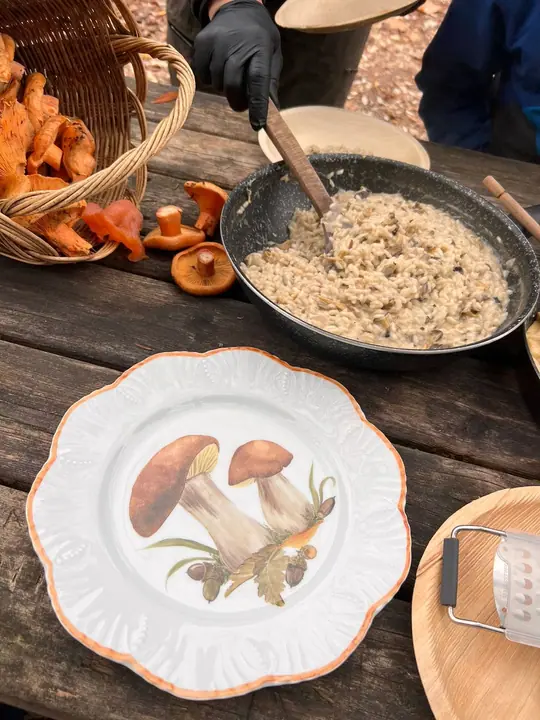 Meal in the forest
